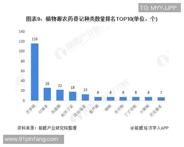 深入探讨北京排球队实力表现的数据分析与未来发展趋势