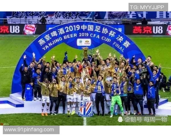 深度解析深圳网球队实力对比及未来发展潜力分析