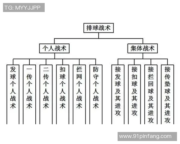 成都排球队快攻战术解析与实战应用探讨